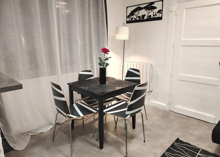 Apartamento Le Parmentier - T2 Clermont-Ferrand